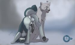 akita akita_inu animal_genitalia animal_penis bodily_fluids canid canine canine_genitalia canine_penis canis cum cum_drip cum_in_ass cum_inside cum_on_penis domestic_dog dripping duo feral genital_fluids genitals ginga_(series) kishu_inu knot kyoshiro_(ginga) male male/male mammal metalfox penis spitz weed_(ginga)