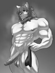 abs absurd_res anthro ball_tuft balls black_and_white clothing embarrassed erection felid genitals hair hi_res holding_object long_hair looking_at_object male male_only mammal mane monochrome muscular muscular_anthro muscular_male musk musk_clouds nescitop nipples pecs penis solo standing surprised_expression tuft underwear vein veiny_penis