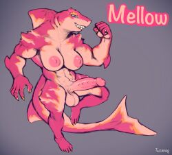 absurd_res anthro balls big_breasts big_penis breasts claws erection feet fish fur genitals gynomorph hi_res humanoid_genitalia intersex marine mellow_(tussamag) muscular nipples nude penis pink_body pink_fur shark smile solo spiked_penis spikes spikes_(anatomy) tail teeth text tussamag