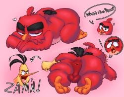 angry_birds anthro anus ass avian balls bird bird_brained_(artist) chuck_(angry_birds) duo english_text eyebrows face_squish feathers genitals half-closed_eyes hi_res lying male male/male multiple_images narrowed_eyes non-mammal_balls on_front red_(angry_birds) red_body red_feathers rovio_entertainment sega spread_anus spread_butt spreading squish text thick_eyebrows