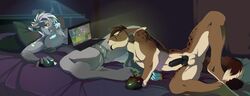 anthro balls black_penis breasts canine canine computer drmax duo female male mammal nipples nude oral penis pussy smile spread_legs spreading