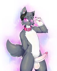 2017 anthro balls blush canine collar digital_media_(artwork) erection fur horn humanoid_penis looking_at_viewer male male_only mammal nude penis ragna-zinnye ruchi simple_background smile solo standing