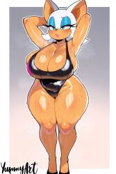 rouge the bat from sonic (series)