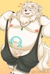 2025 96panda anima_(anothereidos_r) anothereidos_of_dragon_vein_r anthro balls belly big_belly blush bodily_fluids canid canine canis domestic_dog flaccid fur genital_fluids genitals hi_res kemono male mammal moobs navel nipples penis precum simple_background small_penis solo white_body white_fur
