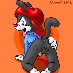 animaniacs balls brainsister clothing hat male male_only penis shirt solo tongue tongue_out wakko_warner warner_brothers