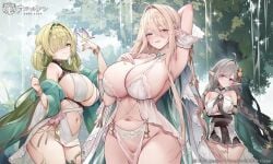 3girls ahoge arm_up armpits azur_lane bare_shoulders blonde_hair blush bracelet braid breast_curtains breasts bug butterfly cg cleavage closed_mouth copyright_name cowboy_shot de_zeven_provincien_(azur_lane) detached_sleeves dress earrings elbow_gloves elf evertsen_(azur_lane) female gloves gouden_leeuw_(azur_lane) green_eyes green_hair grey_hair hair_between_eyes hair_flower hair_intakes hair_ornament hair_over_one_eye huge_breasts jewelry large_breasts long_bangs long_hair looking_at_viewer mole multiple_girls navel navel_cutout official_art open_mouth outdoors parted_lips pelvic_curtain pointy_ears purple_eyes revealing_clothes sideboob sidelocks skirt smile standing stomach thighs very_long_hair water waterfall white_dress