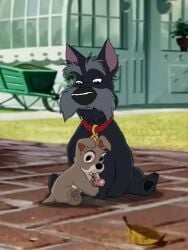 jock (lady and the tramp) from disney by unclejock