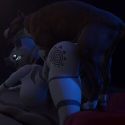 3d canine hump loop my_little_pony tagme video zecora_(mlp) zoophilia