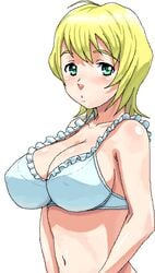 1girls bb blonde_hair breasts cleavage erect_nipples erstin_ho female green_eyes huge_breasts large_breasts lingerie mai_otome my-otome nigou short_hair solo triple_break underwear