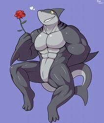 2017 3_toes 5_fingers abs animal_genitalia anthro biceps digital_media_(artwork) fish flower genital_slit heart invalid_tag male male_only mammal marine muscular muscular_male nude pecs plant qundium rose shark simple_background slit smile solo teeth toes