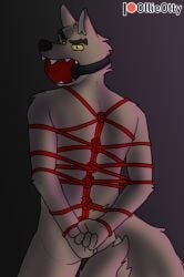 2020s 2024 angry anthro ass ball_gag bondage bound canid canine canis dreamworks fur gag gagged hi_res looking_at_viewer male mammal mr._wolf_(the_bad_guys) nude ollieotty rear_view restraints simple_background solo submissive tail teeth the_bad_guys universal_studios wolf yellow_sclera