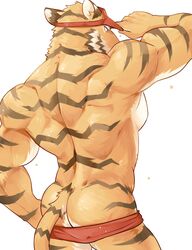 anthro ass chung0_0 colored feline furry male male_only mammal muscular pants_down simple_background solo speedo swimsuit tiger white_background