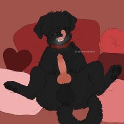 1:1 absurd_res animal_genitalia animal_penis balls beastlygemstone black_body black_fur black_russian_terrier breath canid canine canine_genitalia canine_penis canis collar curled_fur curled_hair domestic_dog feral fur genitals hair hair_over_eye hair_over_eyes hi_res knot licking licking_lips lying male mammal on_back panting paws penis pillow raised_paw solo solo_focus tongue tongue_out