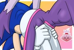 ass ass_in_face ass_worship blaze_the_cat blue_body blush butt_squeeze butt_worship cat_ears cat_girl cat_tail closed_eyes clothing coat face_in_ass feline hand_on_thigh hedgehog hedgehog_ears pants ponytail purple_body purple_skin rear_end sega sniffing_ass sonic_(series) sonic_the_hedgehog sonic_the_hedgehog_(series) sonicguru spiked_hair