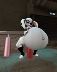 101 101_dalmatian_street 101_dalmatians 3d airtank belly_inflation dalmatian dolly_(101_dalmatians) female inflation inflation_fetish