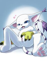 anthro anus bedroom_eyes blue_eyes claws clitoral_hood clothing digimon fangs feline female fur gatomon gloves goshaag half-closed_eyes heart mammal open_mouth pawpads presenting presenting_pussy pussy seductive smile solo spread_legs spread_pussy spreading teeth tongue whiskers white_fur