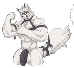 abs anthro balls biceps big_penis canid canine canis fur genitals hair harness hi_res humanoid_genitalia humanoid_penis male male_only mammal mihoyo muscular muscular_anthro muscular_male nipples nude penis red_eyes simple_background solo tail vexedlupine von_lycaon white_body white_fur wolf zenless_zone_zero