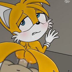tails the fox from sonic (series) by spanky15
