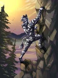 2012 anthro backsack balls biped black_balls black_fur black_hair black_hooves black_stripes black_tail cliff climbing detailed_background digital_media_(artwork) equine fur hair hooves ivybeth male male_only mammal multicolored_fur multicolored_hair multicolored_tail nature nude outside rear_view rock_climbing signature sky solo striped_fur stripes stripes_(character) tail_tuft tree tuft two_tone_fur two_tone_hair two_tone_tail white_fur white_hair white_tail zebra