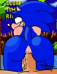 anal anal_sex ancient-onyx animated bent_over blue_fur blue_spines bubble_butt color colored cowgirl_position frame_by_frame furry gay gay_sex gif green_eyes green_hill_zone grinning hedgehog human interspecies looking_pleasured male male/male male_only male_pov mammal raised_tail sega sex sonic_(series) sonic_1 sonic_team sonic_the_hedgehog sonic_the_hedgehog_(series) thick_thighs tumblr tumblr_link veiny_penis yaoi