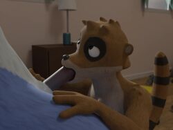 3d blue_jay face_closeup gay mordecai_(regular_show) non-human non-human_only oral raccoon rigby tagme video