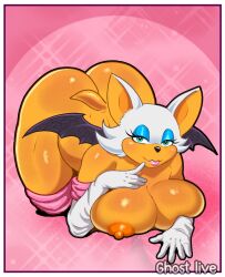 rouge the bat from sega by ghost live
