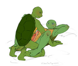 anthro duo erection incest jazzthetiger leonardo male muscular nude penis raphael reptile scalie shell simple_background smile teenage_mutant_ninja_turtles tmnt_2012 turtle white_background yaoi