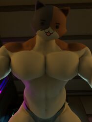 1anthro 1boy 1furry 1male 3d 3d_(artwork) 3d_render 4k :3 anthro bara bara_tiddies bara_tits bara_titties bedroom bedroom_eyes bedroom_setting big_pecs big_pectorals blender blender_(artwork) blender_(software) blender_cycles blue_speedo blue_thong domestic_cat epic_games eye_contact eye_contact_pov feline fortnite fortnite:_battle_royale furry gay half-closed_eyes hi_res high_resolution highres kovasfox male_focus meowscles meowscles_(fortnite) multicolored_body multicolored_fur muscles muscular muscular_anthro muscular_furry muscular_male muscular_male_only pec_focus pecs pecs_focus pectoral_focus pectorals pinned_down pinned_to_bed pov pov_eye_contact solo speedo speedo_only thong thong_only underwear underwear_only yaoi