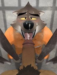 anthro balls big_penis black_nose bodily_fluids brown_body brown_fur canid canine canis cheek_tuft cum cum_in_mouth cum_inside cum_on_face dreamworks duo erection facial_tuft fellatio fur genital_fluids genitals glans hi_res humanoid_genitalia humanoid_penis licking looking_at_viewer male male/male mammal mr._wolf_(the_bad_guys) nagick_18 oral orange_jumpsuit penile penis penis_lick prison prison_uniform prisoner pubes sex smile the_bad_guys tongue tongue_out tuft vein veiny_penis wolf yellow_eyes