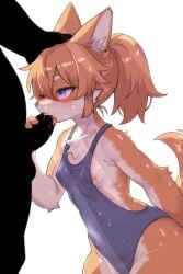 anthro anthro_penetrated areola biped blue_eyes blush breasts canid canine clothing duo erection female female_penetrated fox fur gayoku_midara genitals hi_res male male/female male_penetrating male_penetrating_female mammal multicolored_body multicolored_fur nipples one-piece_swimsuit oral oral_penetration orange_body orange_fur penetration penile penile_penetration penis sex silhouette swimwear white_body white_fur