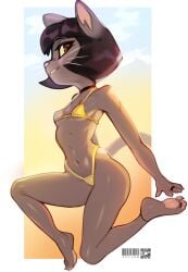 ivy pepper from lackadaisy by zoyler