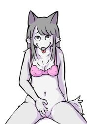 2025 anthro bottomless canid canine canis clitoris clothed clothing female fur genitals grey_body grey_fur hi_res humanoid_genitalia mammal masturbation pussy simple_background solo stic1 tail tongue tongue_out topwear wolf