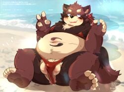 2025 anthro balls beach belly big_belly blush botamochi_(tsurugi) brown_body canid canine clothing furry genitals hi_res kemono male mammal moobs outside overweight overweight_male penis raccoon_dog solo swimwear tanuki tsurugi