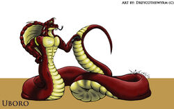 dreycothewyrm naga penis reptile scalie slit snake