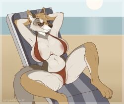 2025 4_toes anthro areola barefoot beach big_breasts bikini bikini_bottom bikini_top black_nose breasts brown_body brown_fur canid canine canis clothed clothing coyote feet female fur genitals grey_body grey_fur hi_res hindpaw mammal manzanita multicolored_body multicolored_fur navel nipple_outline paws pussy sea signature skimpy skimpy_bikini smile solo spicychaikitten swimwear tan_body tan_fur toes two-piece_swimsuit water