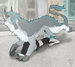 anthro ball_sniffing balls big_balls blue_body blue_fur claws dragon duo erection feral fur furred_dragon furred_scalie genitals hair hi_res languedoc lazei_(furwolfuk) male male/male mammal musk musky_balls mythological_creature mythological_scalie mythology penis scalie simple_background sniffing tail white_body white_fur wolico