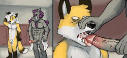 anthro balls boar canine coal_(artist) cum cum_in_mouth cum_inside fellatio fur gym male mammal open_mouth oral penis porcine sex yaoi