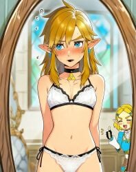 link from tears of the kingdom