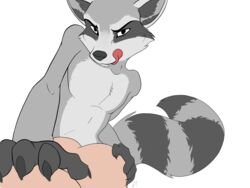 2boys gay ill_(artist) male male_focus male_only nude raccoon tagme yaoi