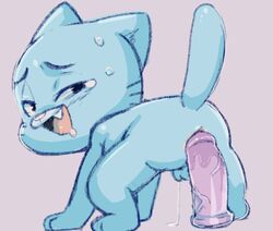 anal anal_sex cartoon_network dandi dildo feline gumball_watterson male male_only mammal penetration sex_toy solo the_amazing_world_of_gumball