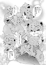 anal anal_sex anthro balls censored comic doujinshi feline furry japanese_text kemono leopard male mammal nipples nude penetration penis rom_(show_by_rock!!) sanrio shiroi show_by_rock!! sweat text translation_request yaoi