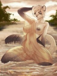 anthro big_breasts blue_eyes breasts clothed clothing domestic_cat felid feline felis female fur genitals hair hi_res long_tail looking_at_viewer mammal nipples nude nyla_(ndwolfy) open_mouth plant pussy solo spread_legs spreading tail translucent translucent_clothing tree valeris vulva wet white_body white_fur white_hair