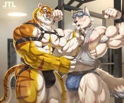6:5 abs absurd_res anthro anthro_on_anthro armpit_hair artist_logo artist_name bara big_muscles black_clothing black_harness black_jockstrap black_underwear blue_clothing blue_eyes blue_jockstrap blue_underwear blush body_hair canid canine cheek_tuft clothed clothing duo eyewear eyewear_on_head facial_tuft fangs felid fur glistening glistening_eyes goggles goggles_on_head grey_clothing grey_topwear gym harness hi_res inside jockstrap johnthelewd_art logo male male/male mammal markings muscles muscular muscular_anthro muscular_male nipple_piercing nipple_ring nipples orange_body orange_fur pantherine pecs piercing red_eyes ring_piercing smile standing striped_arms striped_legs striped_markings striped_tail stripes tail tail_markings teeth text tiger topless topwear tuft underwear undressing_another white_body white_fur yaoi yellow_body yellow_fur