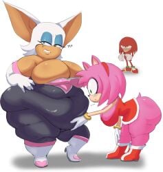 amy rose from sonic (series) by funkin thetrunk