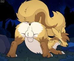 animal_genitalia anus balls feral genitals graedius_(artist) looking_at_viewer looking_back looking_back_at_viewer male night nintendo outside pokemon pokemon_(species) presenting raised_tail rear_view sheath smile solo tail