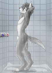 animal_genitalia blue_eyes canine male male_only mammal neash nude sheath shower wet