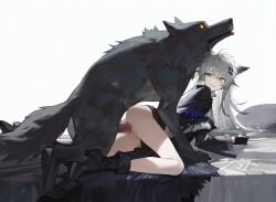 ai_generated arknights bestiality canine clothed_sex feral_on_female lappland_(arknights) pussy r3dek tagme wolf zoophilia