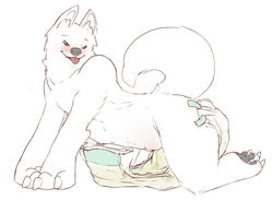 all_fours anthro blush canine canine cuntboy diaper hardscales intersex mammal peeing pussy samoyed simple_background solo tongue urine watersports wet_diaper white_background