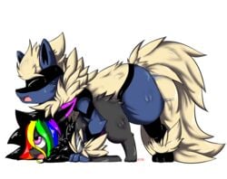 1boy 2017 all_fours alternate_color ambiguous_gender arcanine arcario bent_over blue_fur canine doggy_style duo eevee female feral fluffy fluffy_tail from_behind_position fur furry hair highres hybrid interspecies looking_up lucario male mammal multicolored_fur nintendo on_top open_mouth original_character pokemon pokemon_(species) pokemon_dppt rainbow_hair raven_eevee raveneevee sex simple_background smile straight sweat video_games