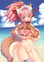 tamamo cat from fate (series) by huatu jiang